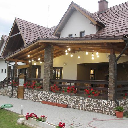Nut House Retezat Hotel Nucsoara  Ngoại thất bức ảnh
