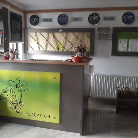 Nut House Retezat Hotel Nucsoara  Ngoại thất bức ảnh