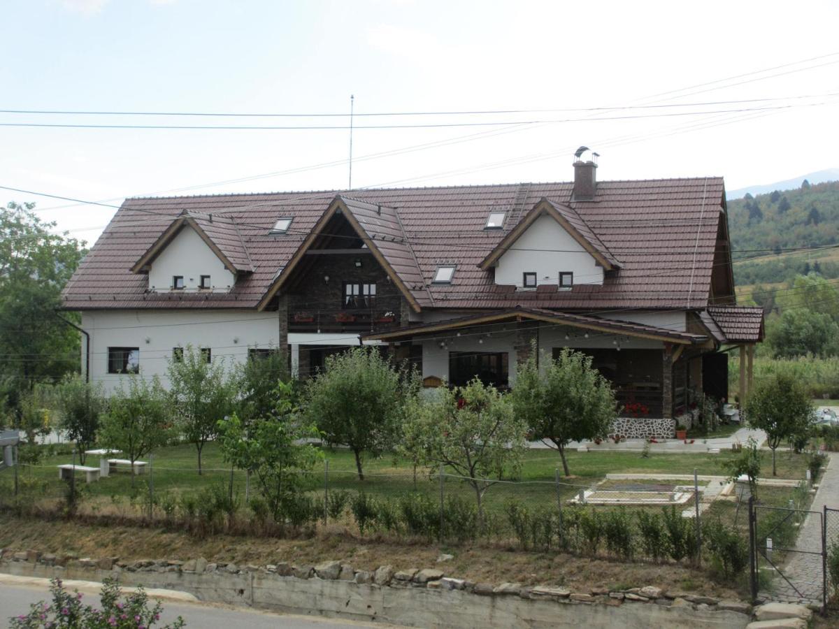 Nut House Retezat Hotel Nucsoara  Ngoại thất bức ảnh
