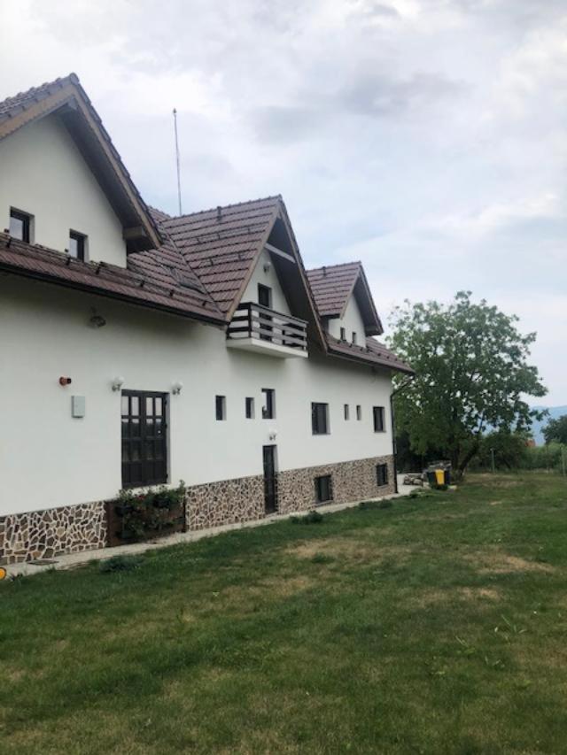 Nut House Retezat Hotel Nucsoara  Ngoại thất bức ảnh