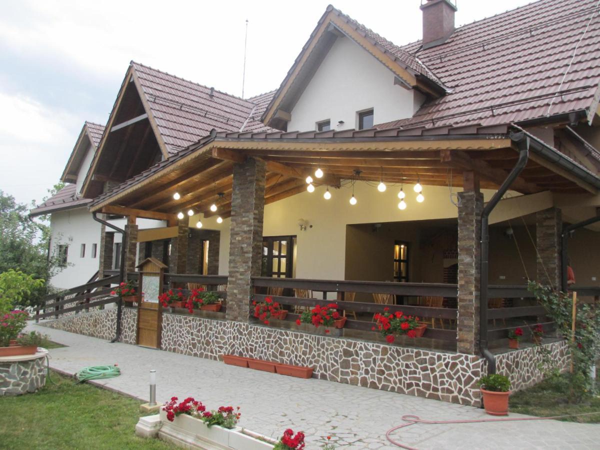 Nut House Retezat Hotel Nucsoara  Ngoại thất bức ảnh
