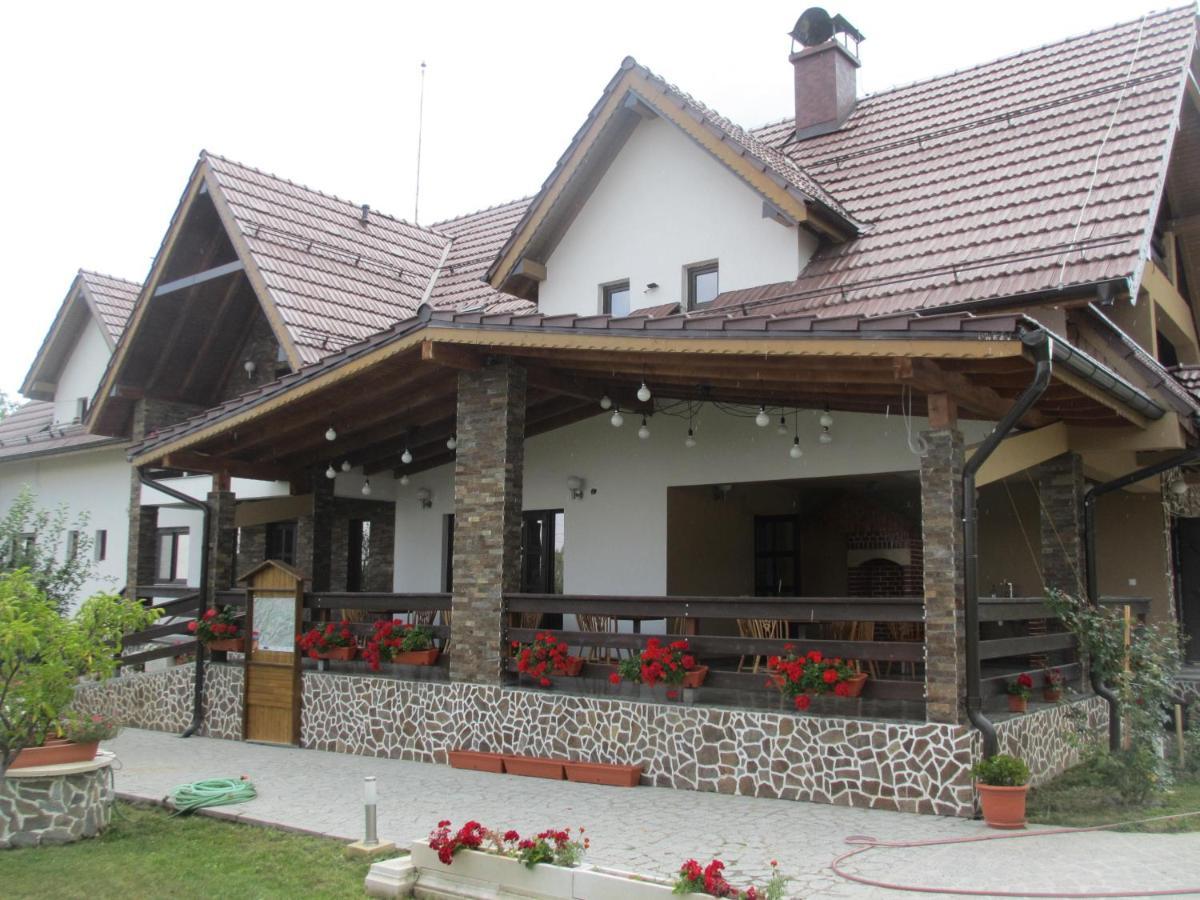 Nut House Retezat Hotel Nucsoara  Ngoại thất bức ảnh