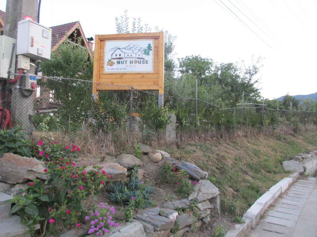 Nut House Retezat Hotel Nucsoara  Ngoại thất bức ảnh