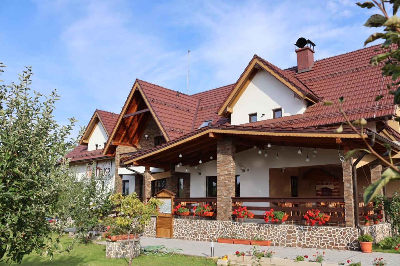 Nut House Retezat Hotel Nucsoara  Ngoại thất bức ảnh