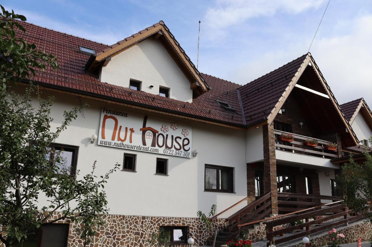 Nut House Retezat Hotel Nucsoara  Ngoại thất bức ảnh