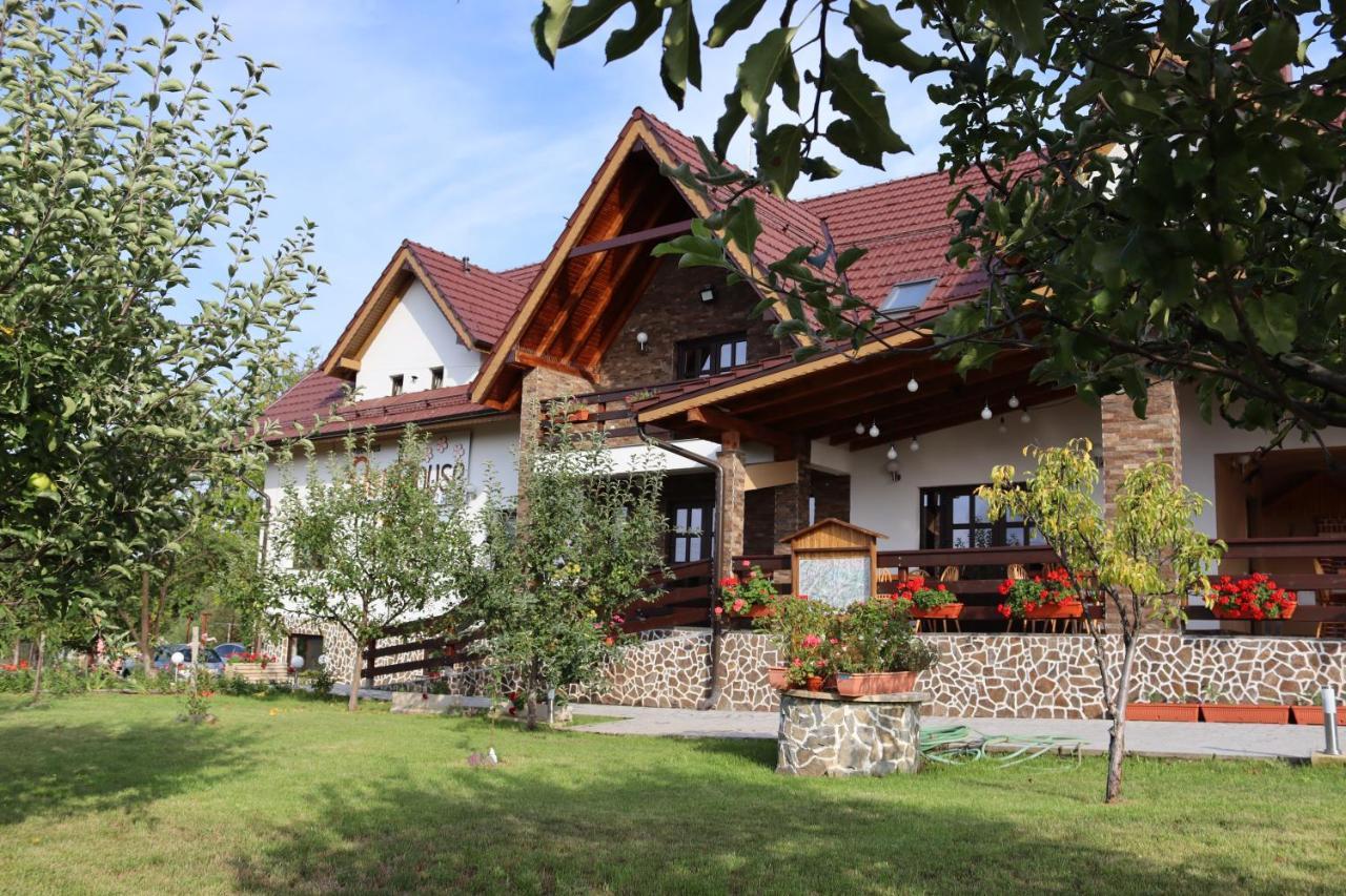 Nut House Retezat Hotel Nucsoara  Ngoại thất bức ảnh