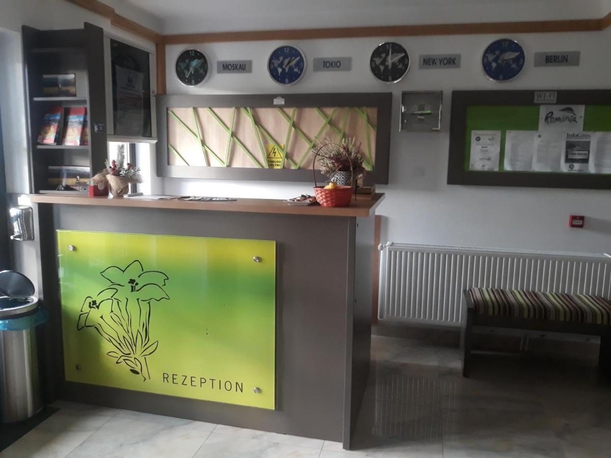 Nut House Retezat Hotel Nucsoara  Ngoại thất bức ảnh